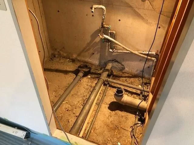 あいねこのためのの掲載写真・図版